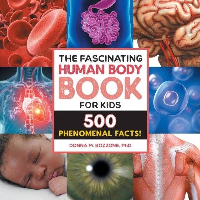 Удивительная книга о человеческом теле для детей: 500 феноменальных фактов! | The Fascinating Human Body Book for Kids: 500 Phenomenal Facts