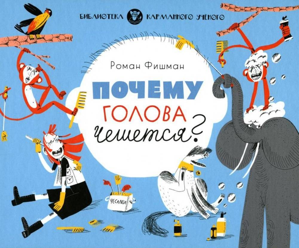 Почему голова чешется? | Why Does Your Head Itch?