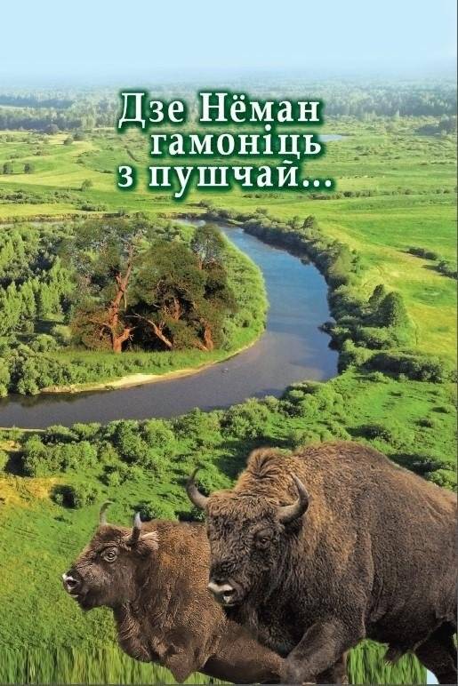 Дзе Нёман гамоніць з пушчай...
