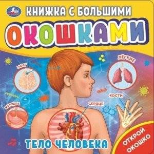 Тело человека. Книжка с большими окошками | The Human Body: A Big Window Book