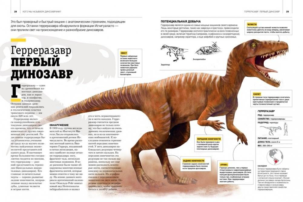 Гигантская энциклопедия динозавров фото книги 8