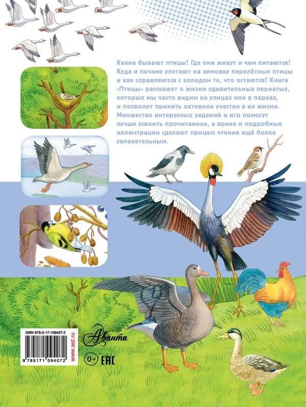 Птицы фото книги 2