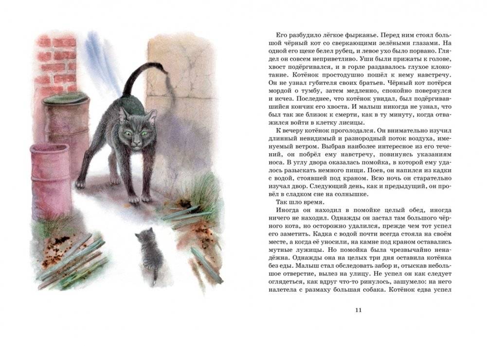 Рассказы о животных фото книги 3