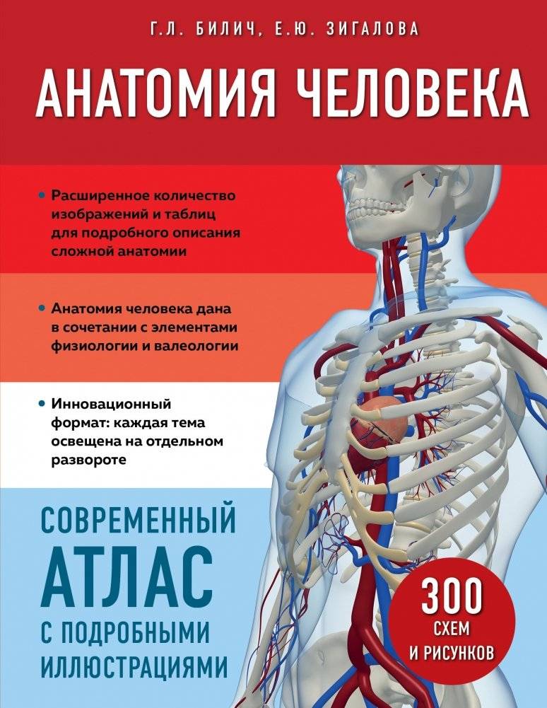 Анатомия человека. Современный атлас с подробными иллюстрациями | Human Anatomy: A Modern Atlas with Detailed Illustrations