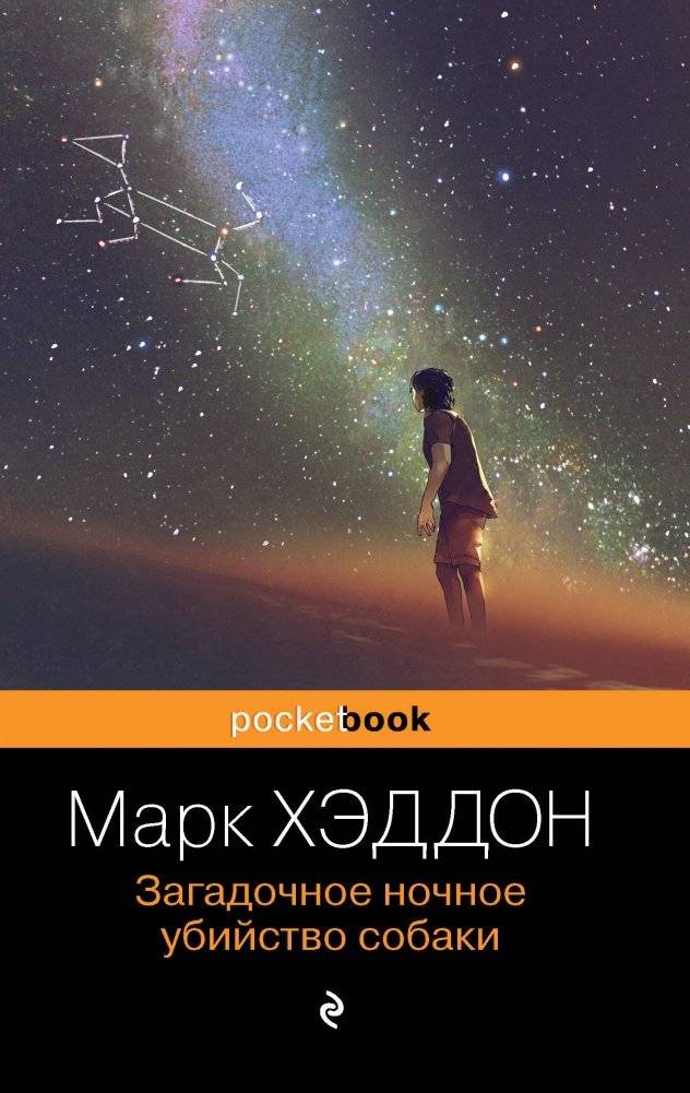 Загадочное ночное убийство собаки | The Curious Incident of the Dog in the Night-Time