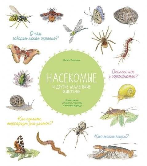 Насекомые и другие маленькие животные | Insects and Other Small Animals