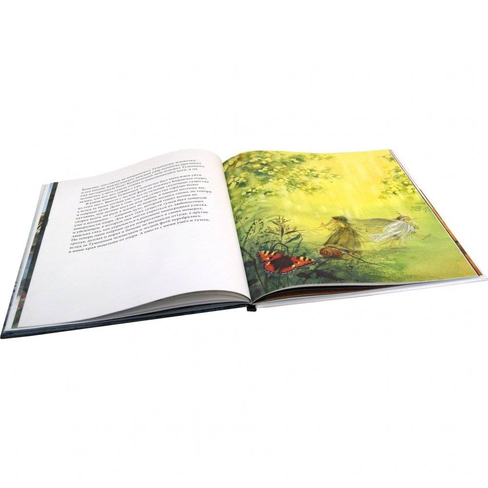 Туманный человечек с Боденского озера фото книги 8
