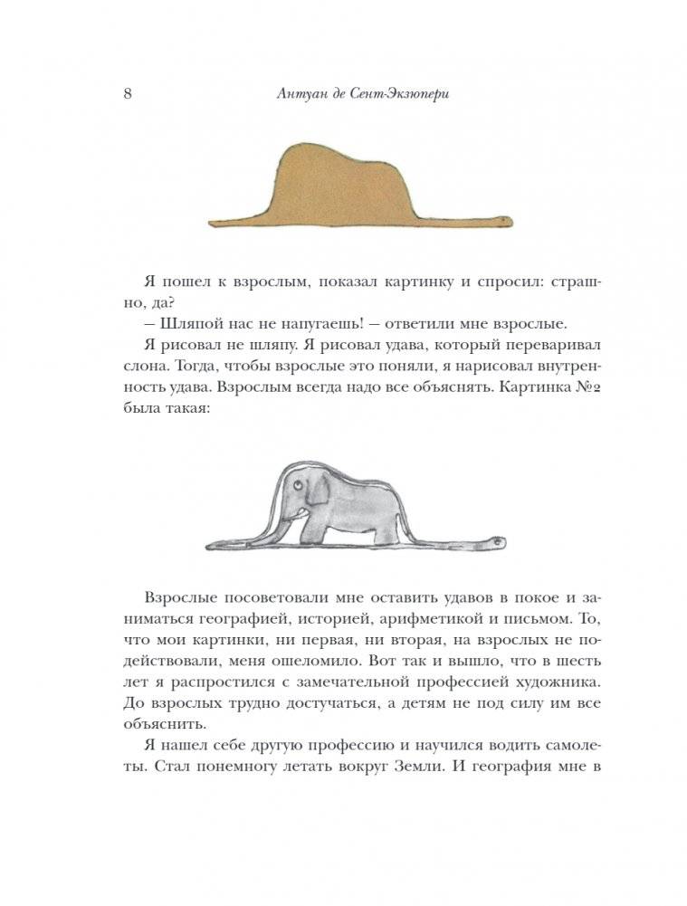 Маленький принц и Цитадель фото книги 3