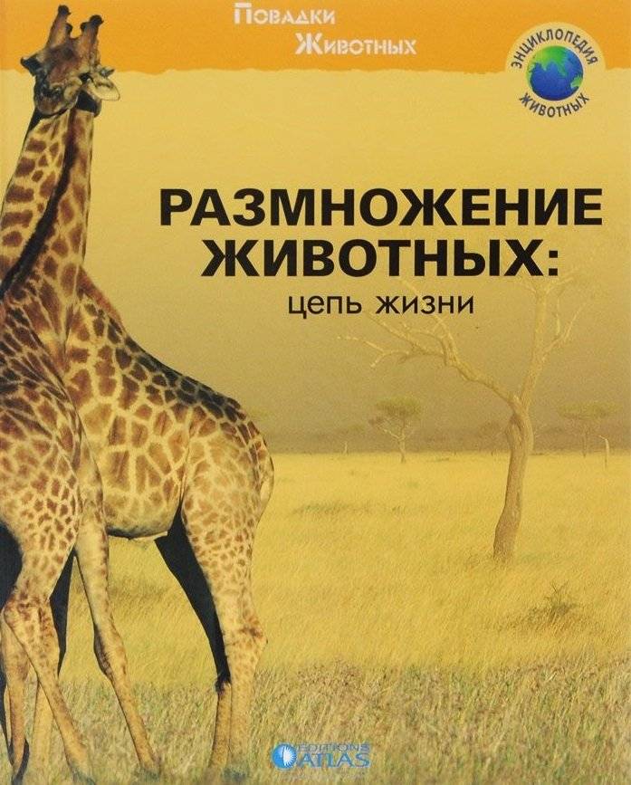 Размножение животных. Цепь жизни | Animal Reproduction: The Chain of Life
