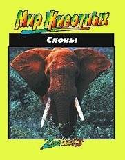 Слоны | Elephants