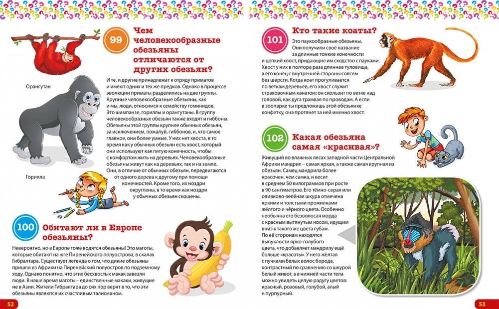 Книга-подарок для маленьких любознашек. Детская энциклопедия фото книги 4