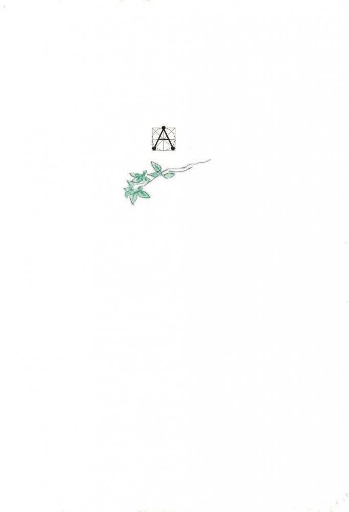Поллианна вырастает фото книги 2