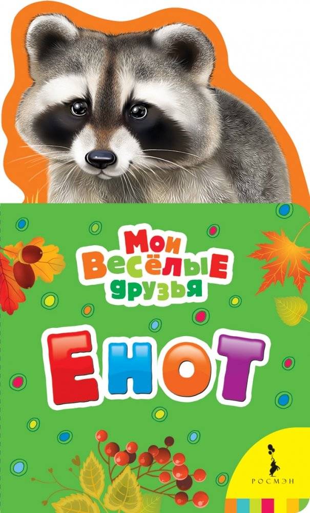 Енот | Raccoon