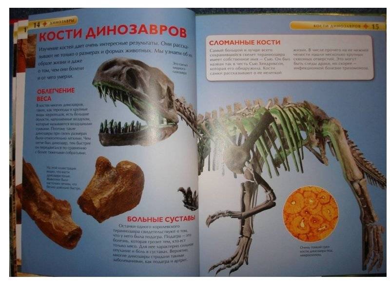Динозавры. Детская энциклопедия фото книги 7