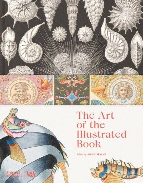 Art of the illustrated book (victoria and albert museum) | Art of the Illustrated Book (Victoria and Albert Museum)