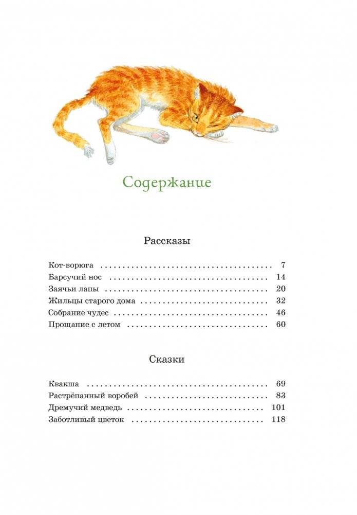 Кот-ворюга. Рассказы и сказки фото книги 2
