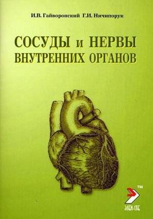 Сосуды и нервы внутренних органов | Vessels and nerves of internal organs