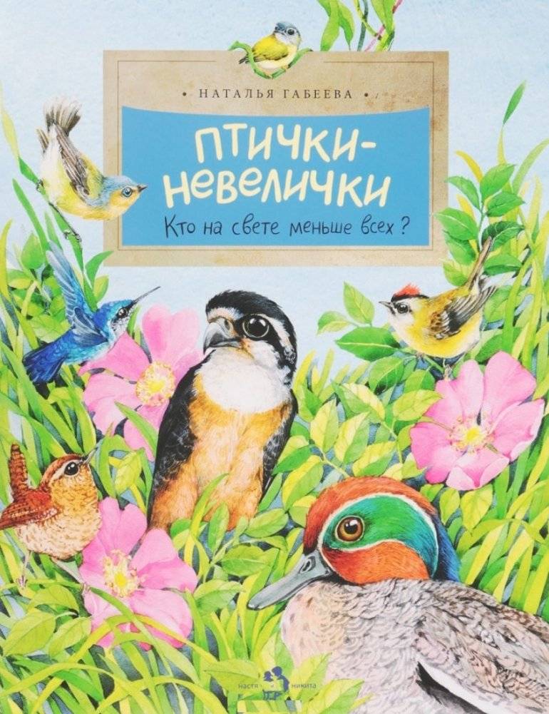 Птички-невелички. Кто на свете меньше всех? | Tiny Birds: Who is the Smallest in the World?