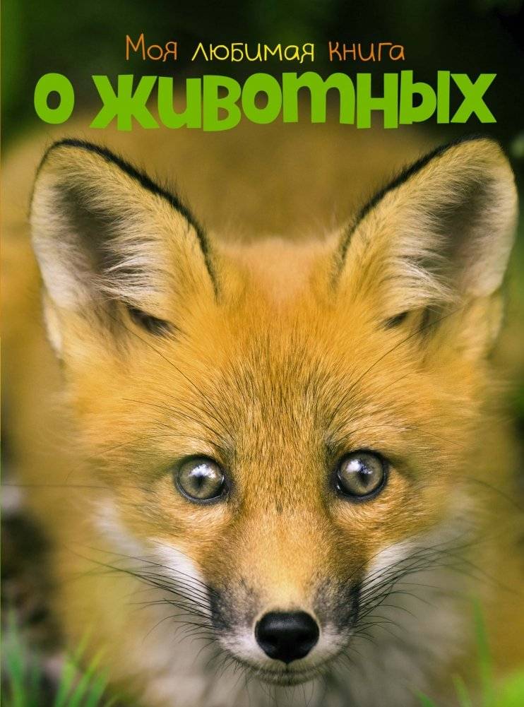 Моя любимая книга о животных | My Favorite Book About Animals