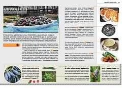 Камчатка. Современный путеводитель фото книги 4