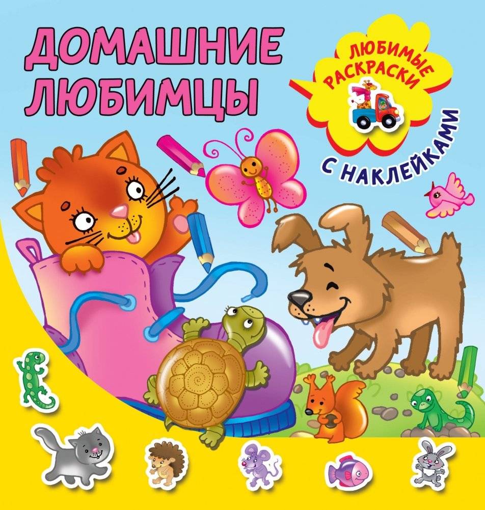 Домашние любимцы | Pets