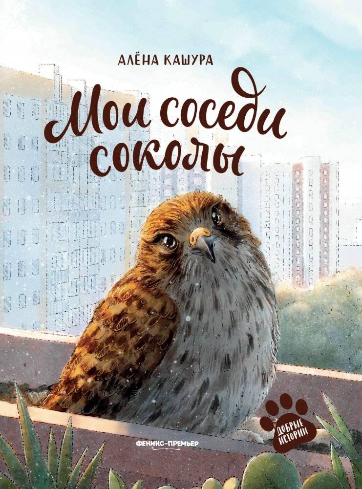 Мои соседи соколы | My Falcon Neighbors