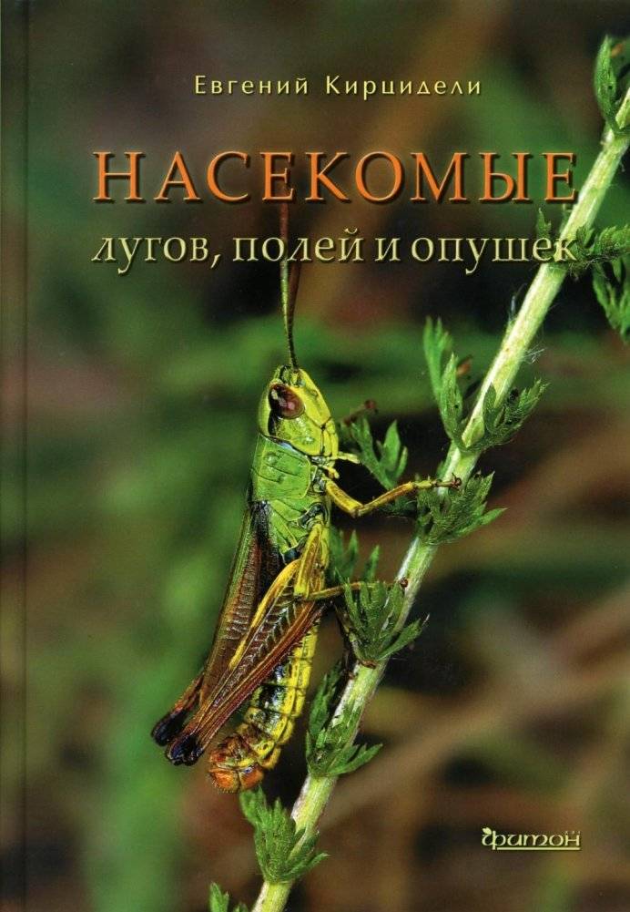 Насекомые лугов, полей и опушек | Insects of Meadows, Fields, and Forest Edges