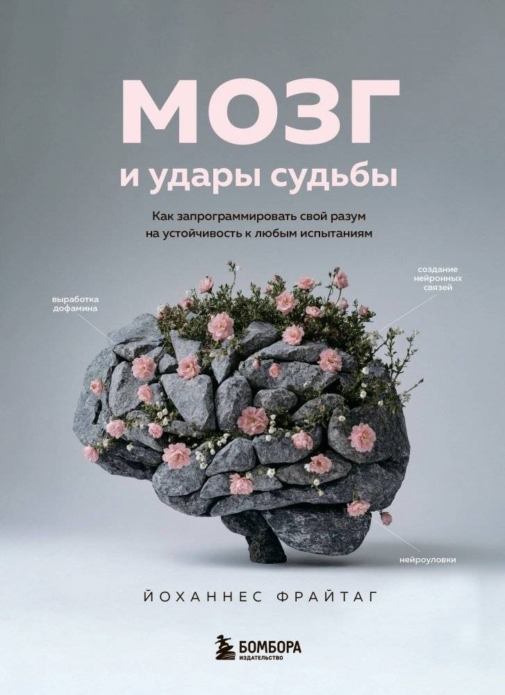 Мозг и удары судьбы. Как запрограммировать свой разум на устойчивость к любым испытаниям | The Brain and Life's Blows: Programming Your Mind for Resilience