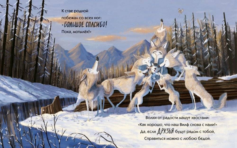 Путь волчонка фото книги 6
