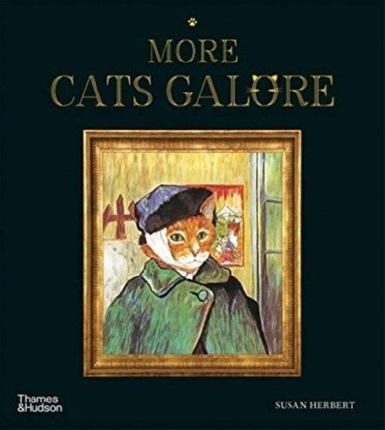 More Cats Galore | More Cats Galore