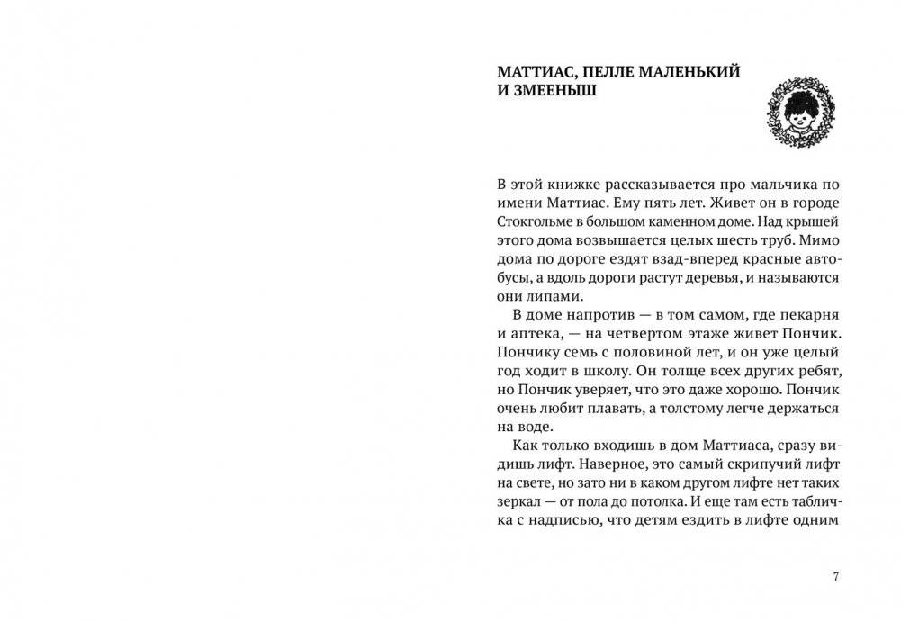 Лето Маттиаса фото книги 2