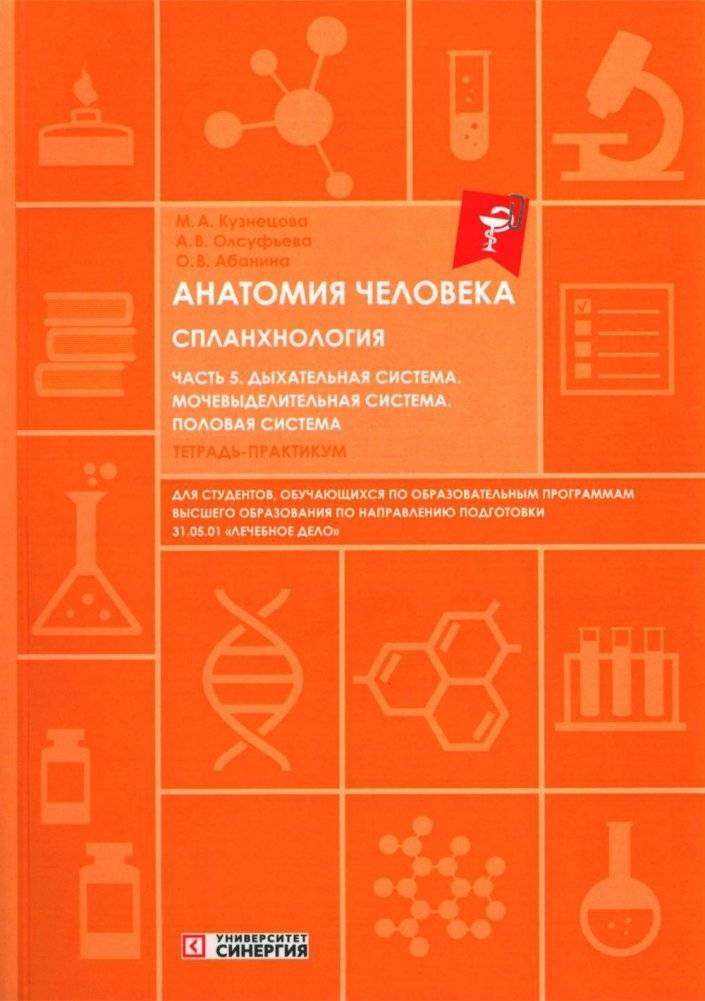 Анатомия человека. Спланхнология. Часть 5. Дыхательная, мочевыделительная и половая системы. Тетрадь-практикум | Human Anatomy. Splanchnology. Part 5. Respiratory, Urinary, and Reproductive Systems. Practice Notebook