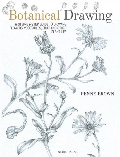 Botanical Drawing: A Step-By-Step Guide to Drawing Flowers, Vegetables, Fruit and Other Plant Life фото книги