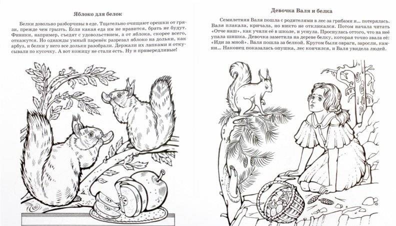 Чудеса в мире животных. Раскраска 1 фото книги 2