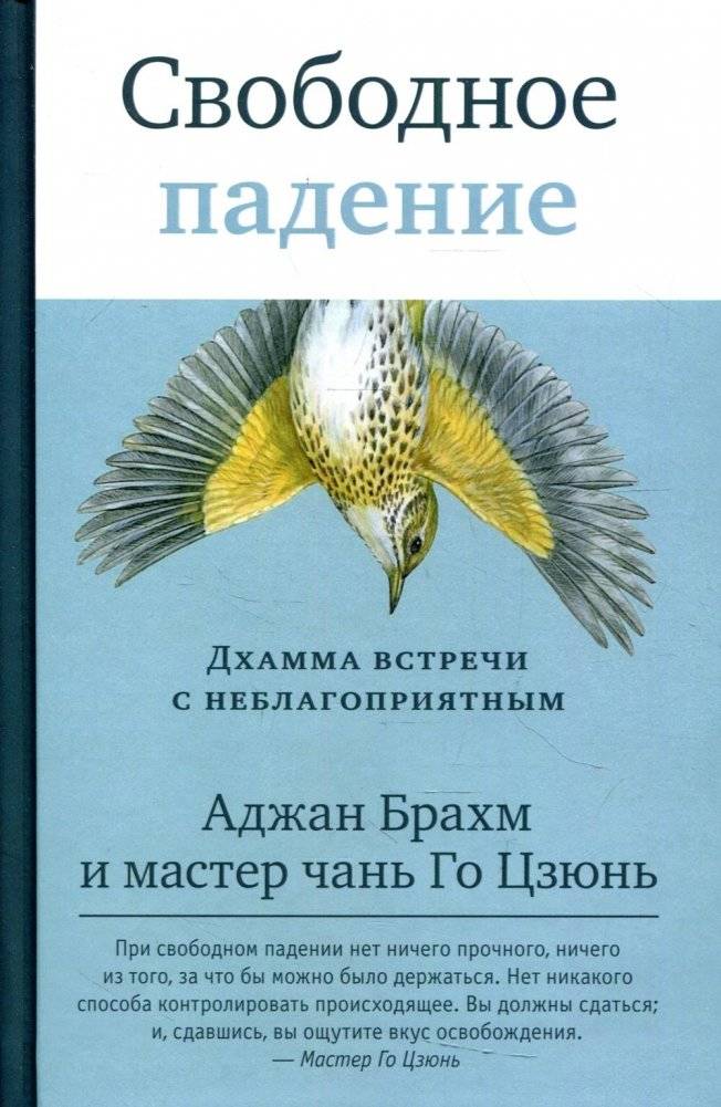 Свободное падение. Дхамма встречи с неблагоприятным | Svobodnoe padenie. Dkhamma vstrechi s neblagopriiatnym