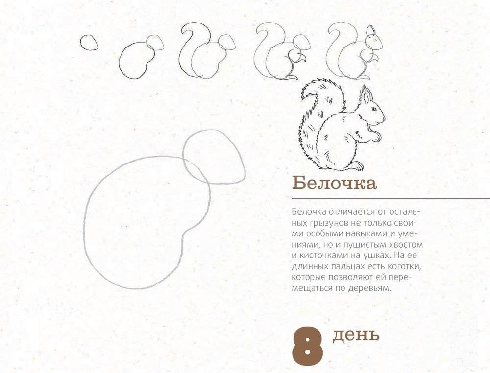 365 дней рисования. Пошаговые техники для начинающих художников фото книги 8