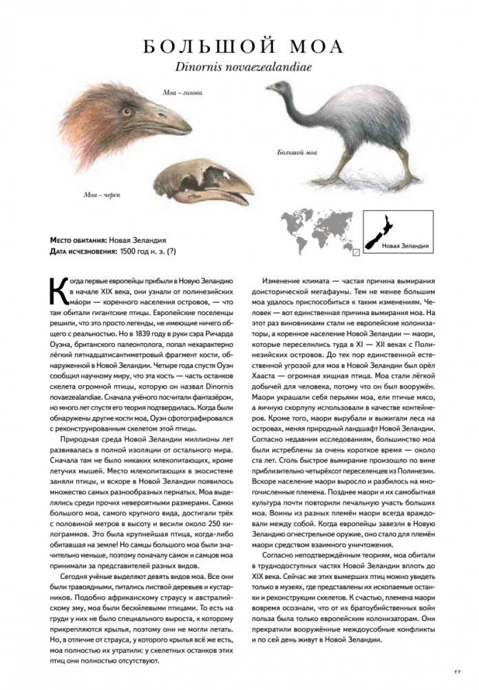 Книга исчезнувших животных. BIObook А. Толмачёва фото книги 8