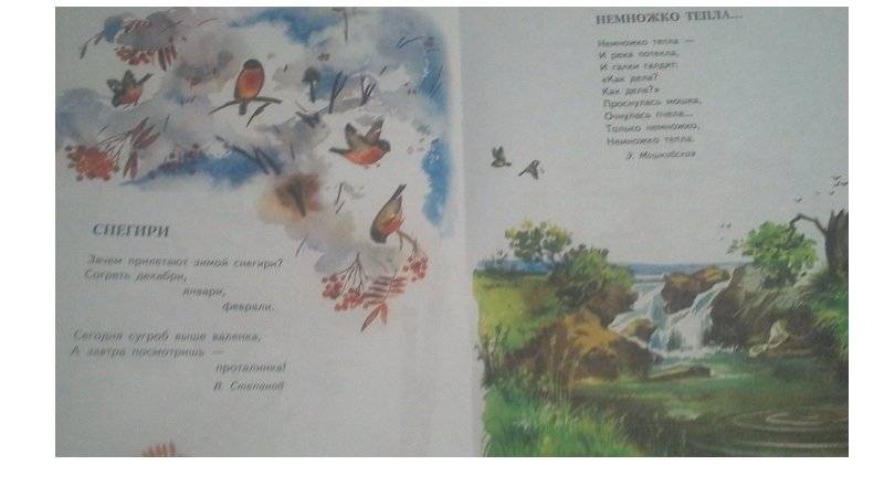 Соловушка фото книги 3