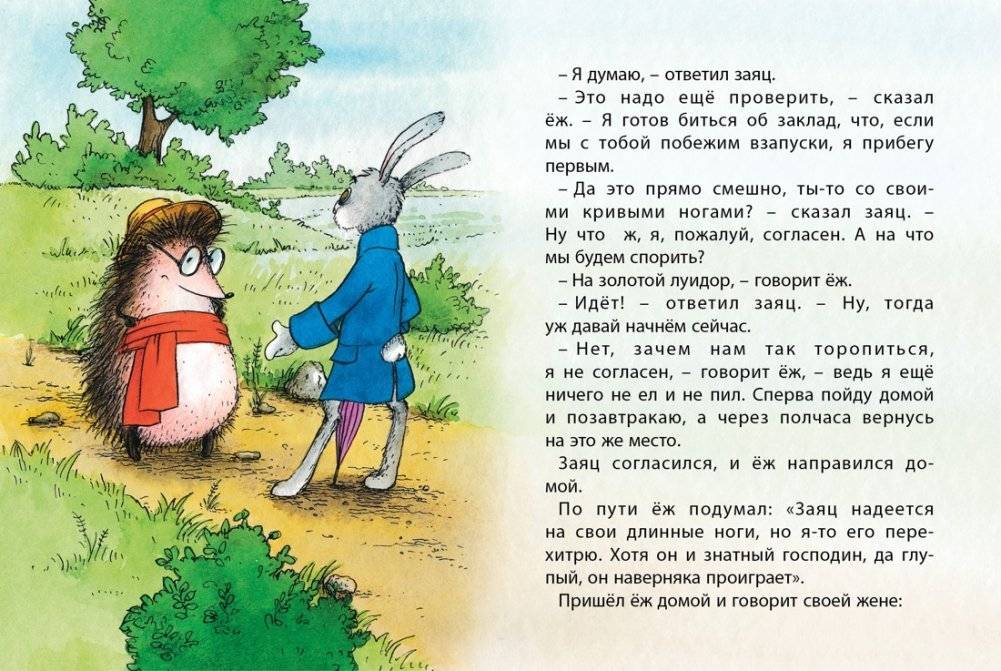 Заяц и ёж фото книги 4