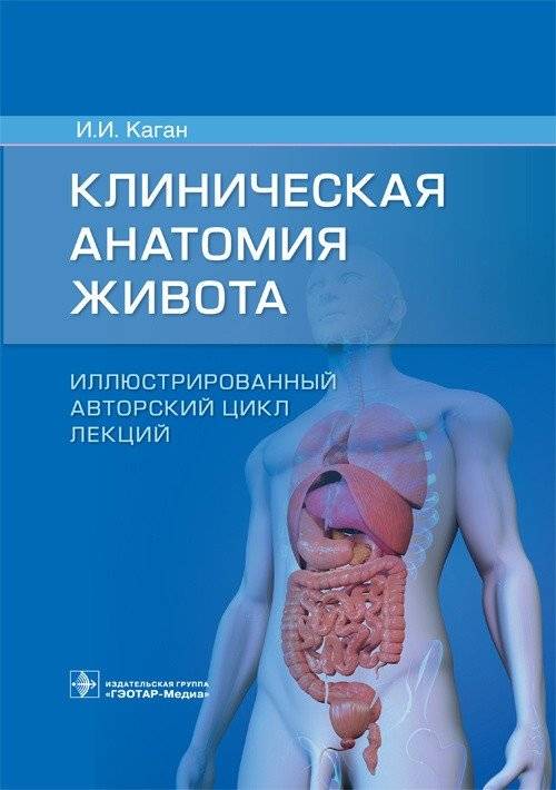 Клиническая анатомия живота. Иллюстрированный авторский цикл лекций | Clinical Anatomy of the Abdomen: An Illustrated Author's Lecture Series