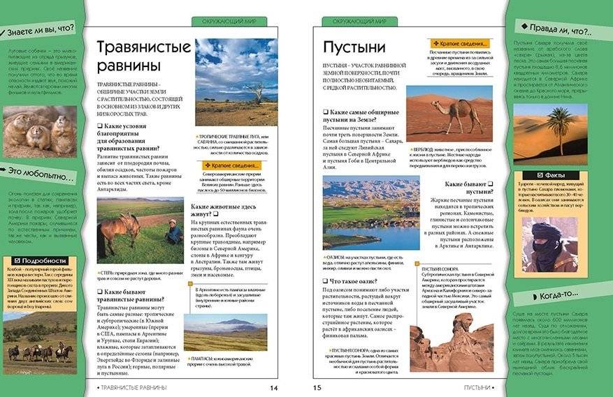 Новая энциклопедия школьника фото книги 3
