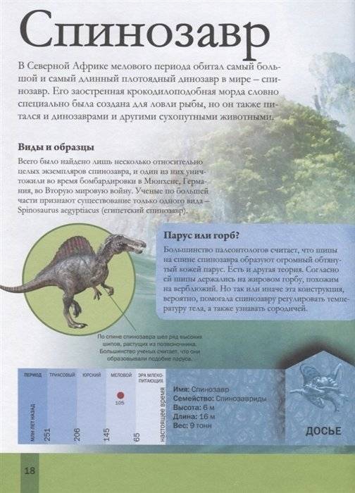 Динозавры для детей фото книги 4