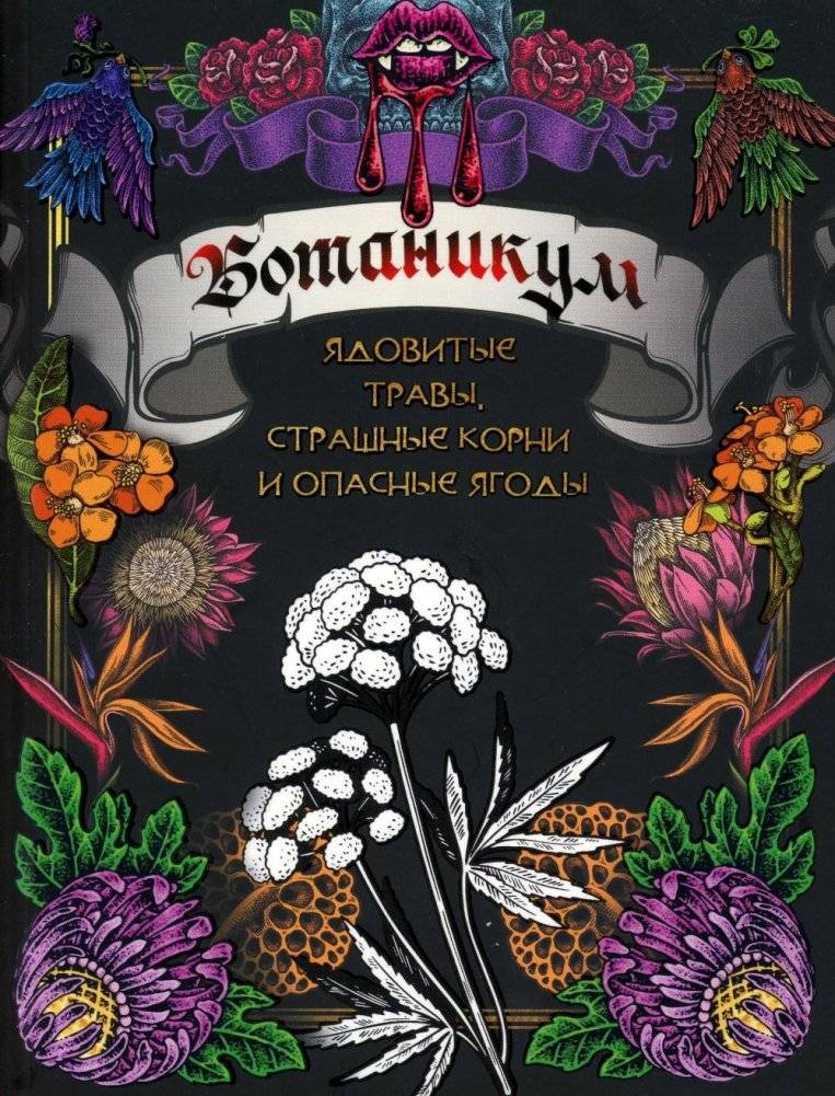Ботаникум: ядовитые травы, страшные корни и опасные ягоды | Botanicum: Poisonous Herbs, Scary Roots, and Dangerous Berries
