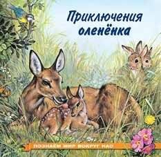 Приключения оленёнка | The Adventures of a Little Deer