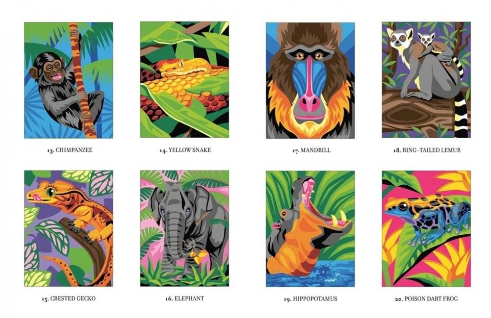 Mystery Coloring Wild Animals фото книги 2