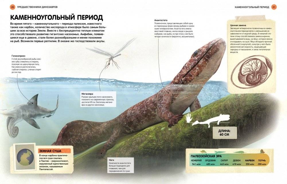 Всё о динозаврах. Энциклопедия фото книги 2