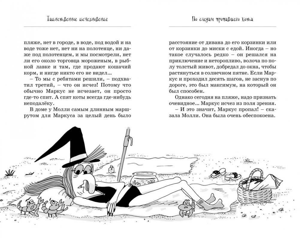 Кот колдуньи Молли. Таинственное исчезновение фото книги 7