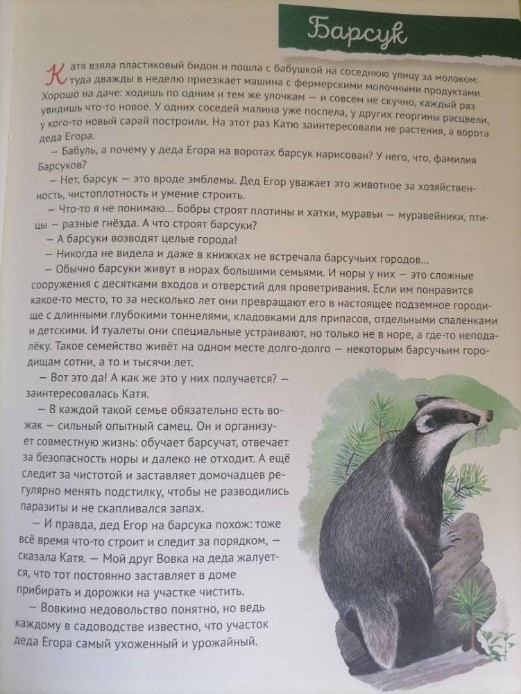 Кто где живёт? Звери и птицы леса фото книги 6