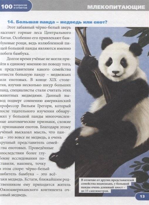 Животный мир фото книги 3