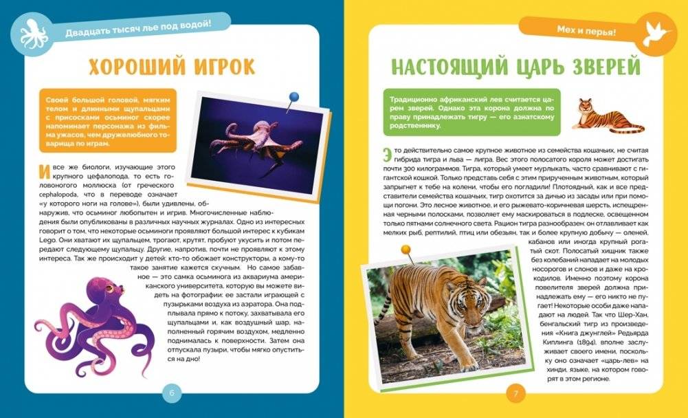 Невероятные животные фото книги 4